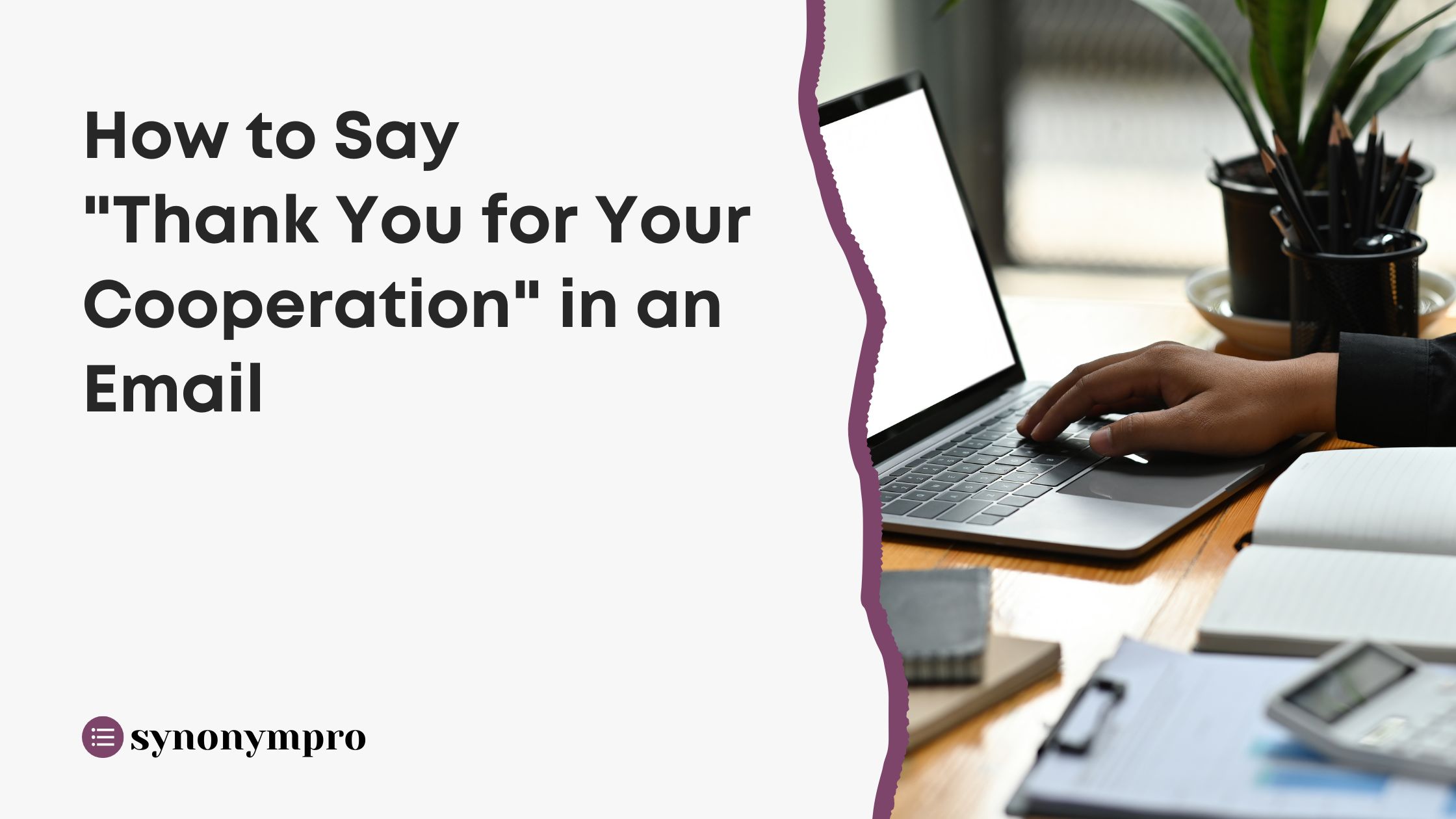 how-to-say-thank-you-for-your-cooperation-in-an-email-synonympro